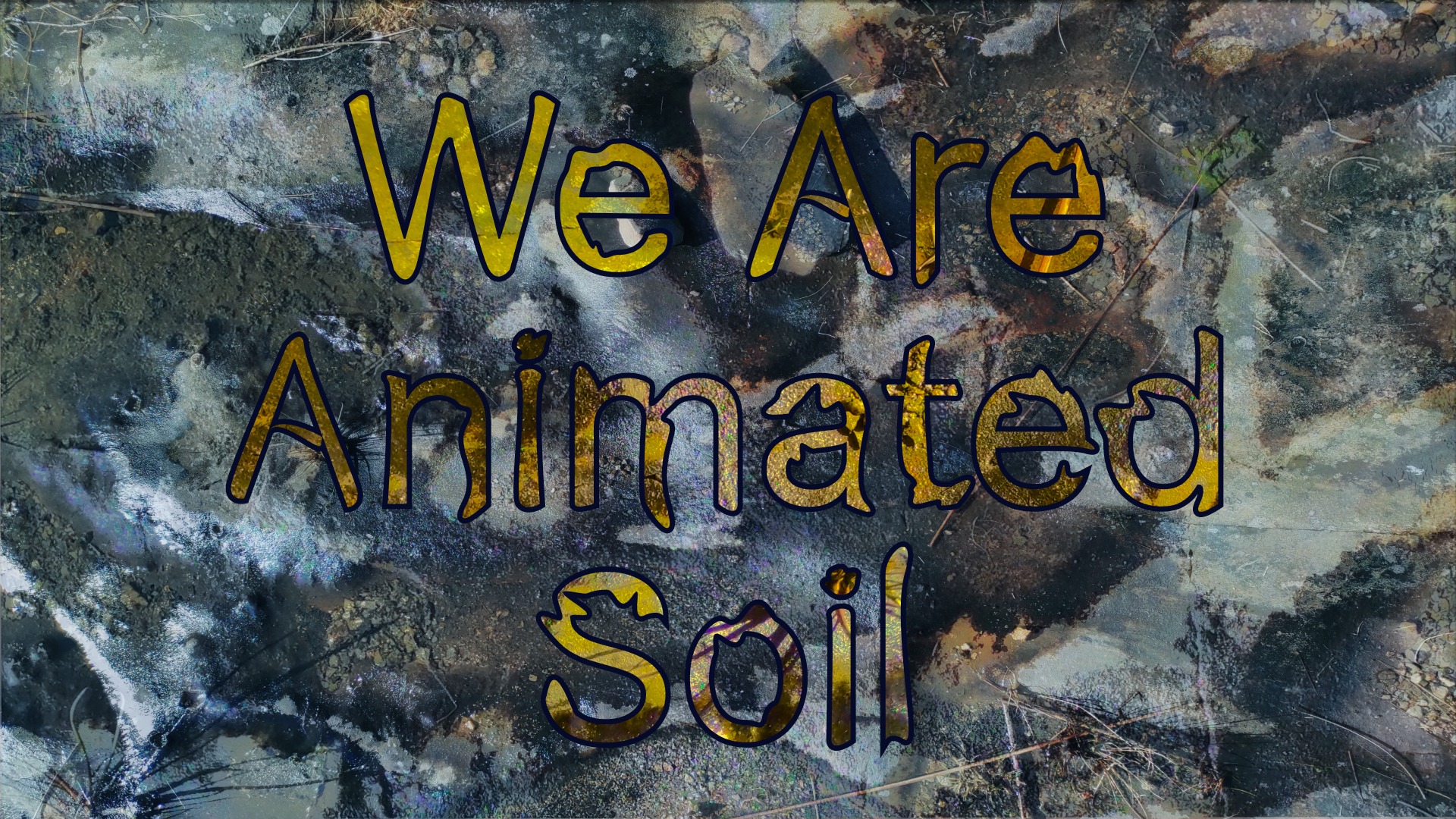 1. We Are Animated Soil. Photo & Graphics by Kai Merke